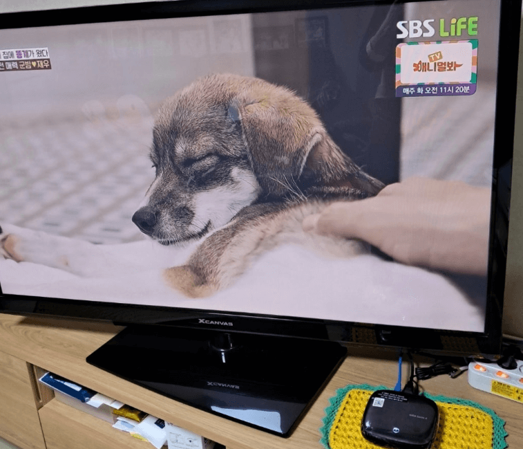 경기 용인시 KT 인터넷티비 현금사은품 받은 가입 후기